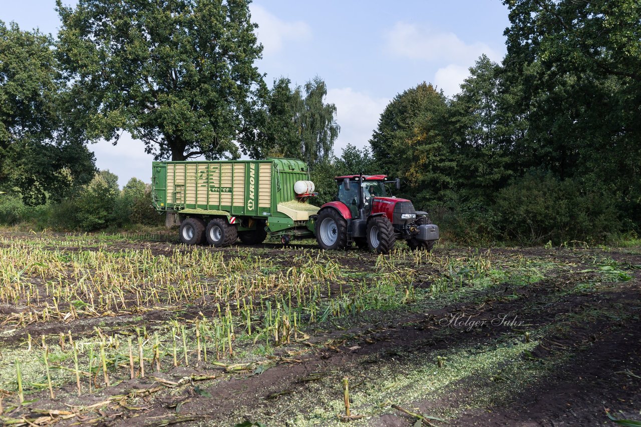 Bild 227 - Maisernte